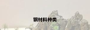 钢材料种类