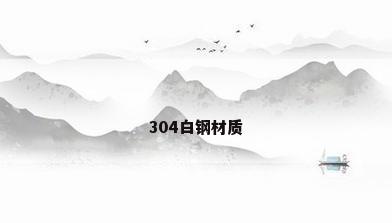 304白钢材质