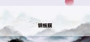 钢板膜