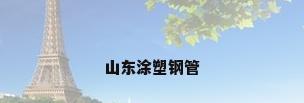 山东涂塑钢管