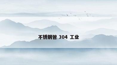不锈钢管 304 工业