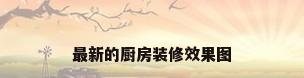 最新的厨房装修效果图