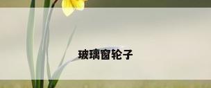 玻璃窗轮子