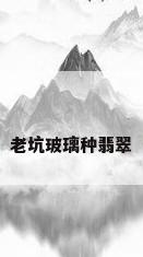 老坑玻璃种翡翠