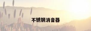 不锈钢消音器