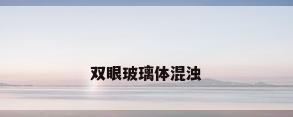 双眼玻璃体混浊