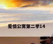 爱情公寓第二季14