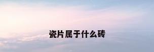 瓷片属于什么砖