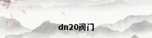dn20阀门