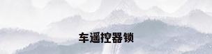 车遥控器锁
