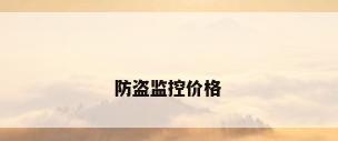防盗监控价格