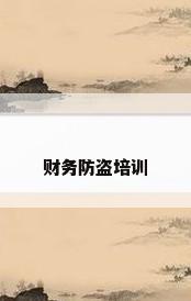 财务防盗培训
