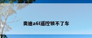 奥迪a6l遥控锁不了车