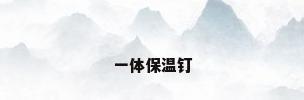 一体保温钉