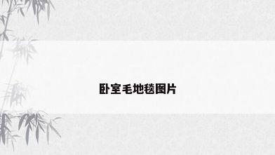 卧室毛地毯图片