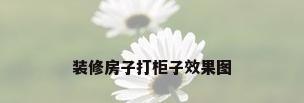 装修房子打柜子效果图
