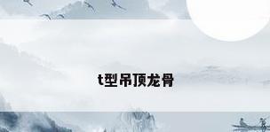 t型吊顶龙骨