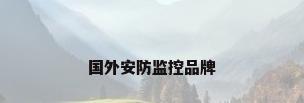 国外安防监控品牌