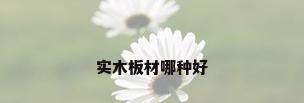 实木板材哪种好