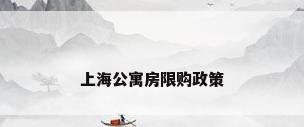 上海公寓房限购政策