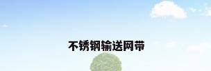 不锈钢输送网带