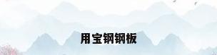 用宝钢钢板