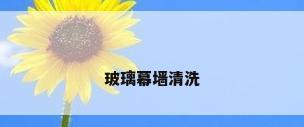 玻璃幕墙清洗