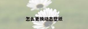 怎么更换动态壁纸