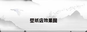 壁纸店效果图