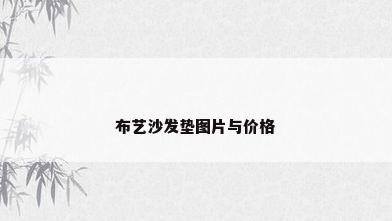 布艺沙发垫图片与价格
