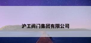 沪工阀门集团有限公司