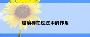 玻璃棒在过滤中的作用