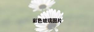 彩色玻璃图片