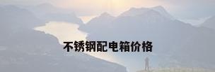 不锈钢配电箱价格
