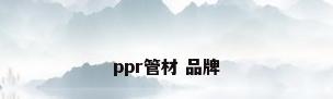 ppr管材 品牌