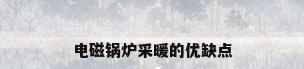 电磁锅炉采暖的优缺点