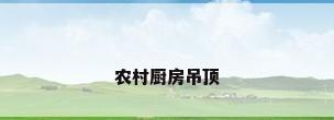 农村厨房吊顶