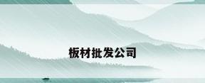 板材批发公司