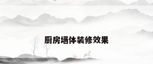 厨房墙体装修效果