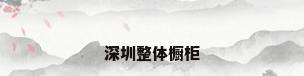 深圳整体橱柜