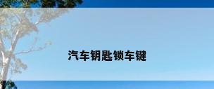 汽车钥匙锁车键