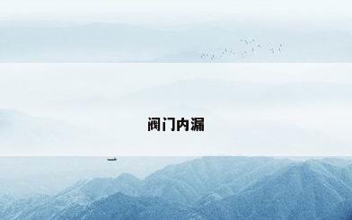 阀门内漏