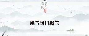 煤气阀门漏气