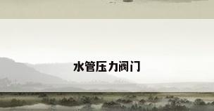 水管压力阀门