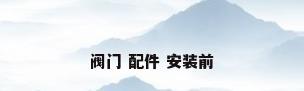 阀门 配件 安装前