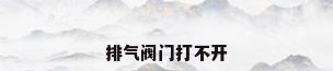 排气阀门打不开