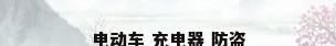 电动车 充电器 防盗
