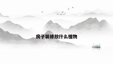 房子装修放什么植物