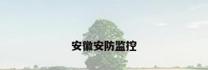 安徽安防监控