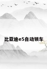 比亚迪e5自动锁车